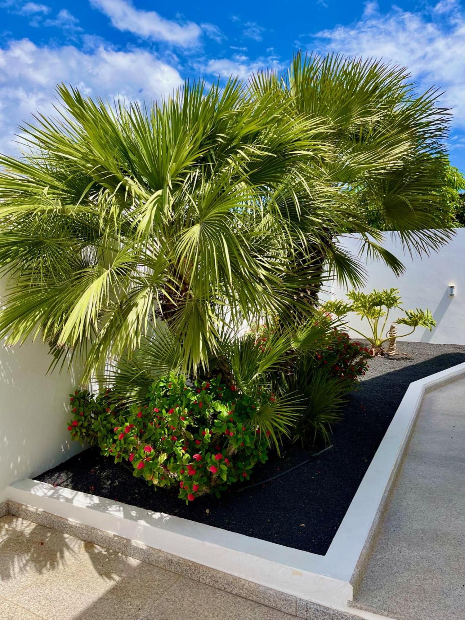 Villa Del Mar Lanzarote - Luxury Beachhouse Arrecife  Exterior photo